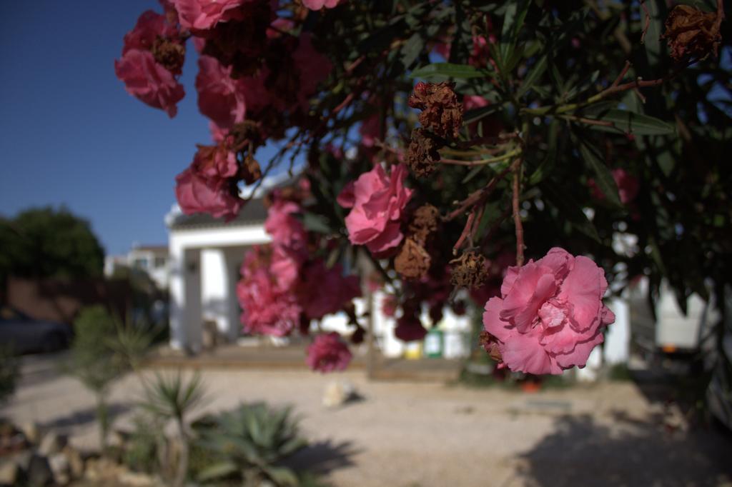 Puravida Divehouse Bed & Breakfast Sagres Exterior foto